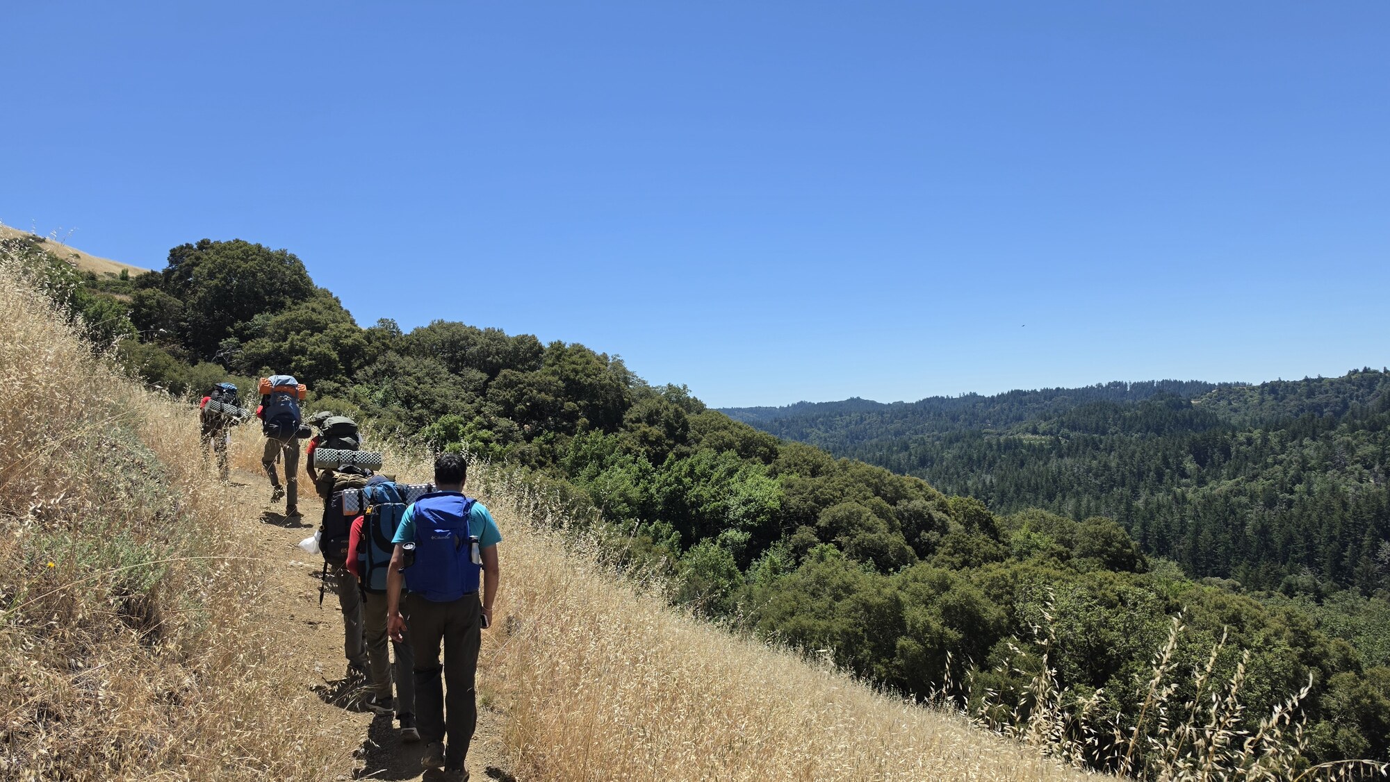 Scouts backpacking in a line up a grassy ridge trail on the Black Mountain trip